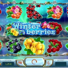 The Best Winter Themed Slot Games